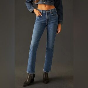 Agolde Merrel Straight Leg Jeans